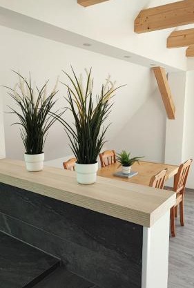 Dammstraße 24-DG-ZV38