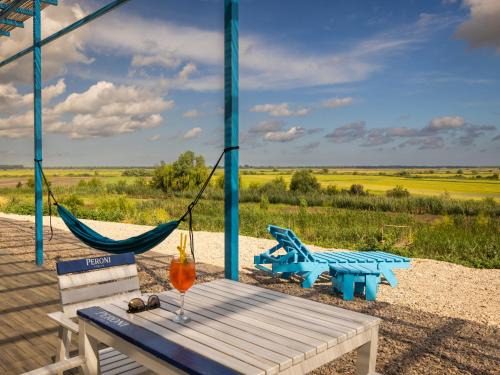 Danube Delta View