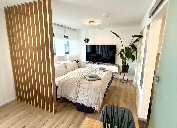 Das 1 Zimmer Apartment
