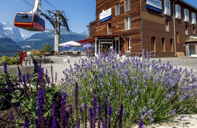Das Hotel Panorama