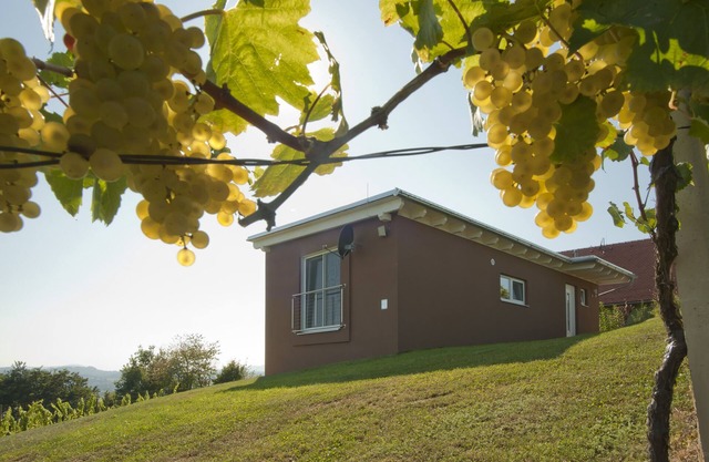 "das nussberg" holiday home in the vineyard