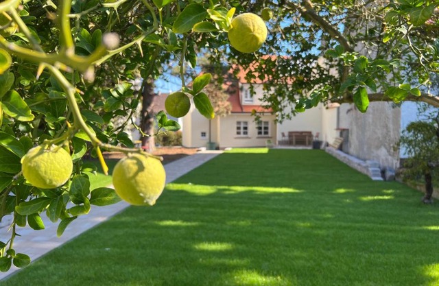 Das "Sommerhaus" in Bingen am Rhein