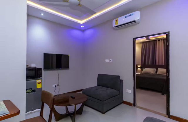 Deluxe One-Bedroom Apartment