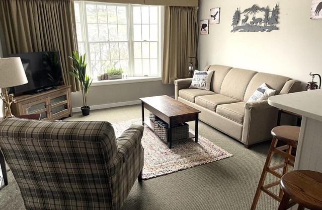 Deluxe Ski On Off 1BR Suite Sleeps 4 on Jiminy Mtn
