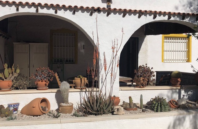 Detached finca with swimming pool in nature