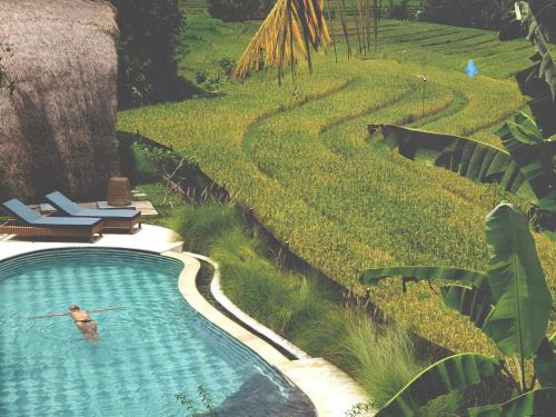 Dharma Oasis