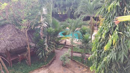 Diani Executive Studio, Blue Swallow