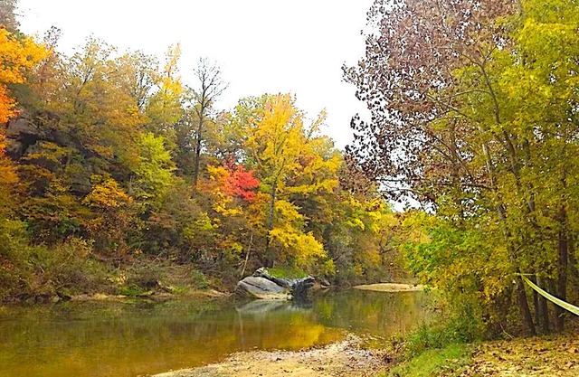 DISCOUNTED! WATERFRT CABIN ON PINEY CREEK-GORGEOUS-SECLUDED-BONUS O/S HOT SHOWER