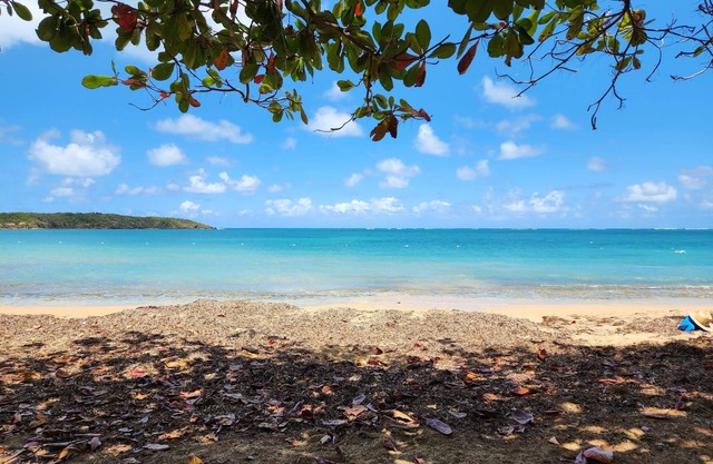 Discover Beautiful Beaches, Snorkeling, 3 Bedroom, 2 Bath, Pool, BBQ, Sleeps 7