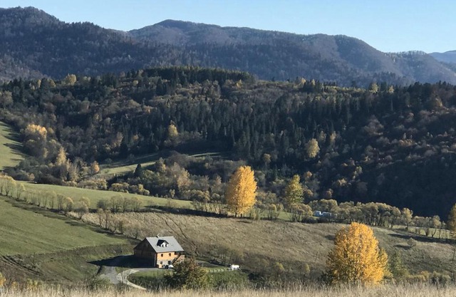 Dom z Zielonego Wzgórza