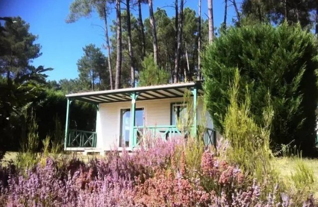 Domaine des Grands Pins * - Chalet Epicea 4 people