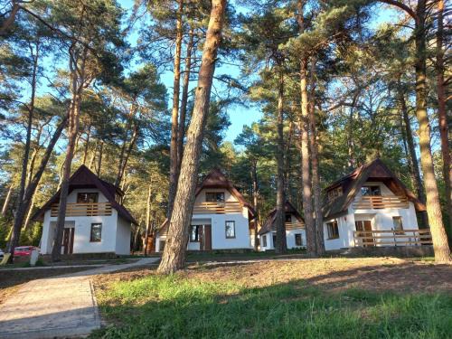 Domki nad Wierną Rzeką