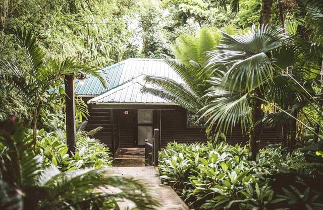 Double Queen Suite, a relaxation in the heart of the jungle