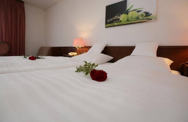 Double Room - Hotel Am Peterstor