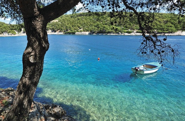 Dream holiday on southern Croatian island - Enjoy this cosy house in sunny surroundings.
