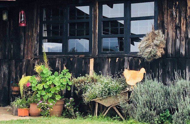 Dream the days away - The Rustic Barn