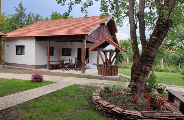 Dumbrava Minunată