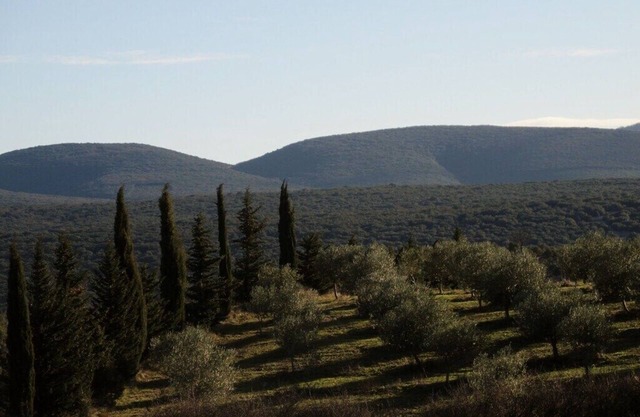 eco domaine pontet-fronzele, gîte "le Murier"