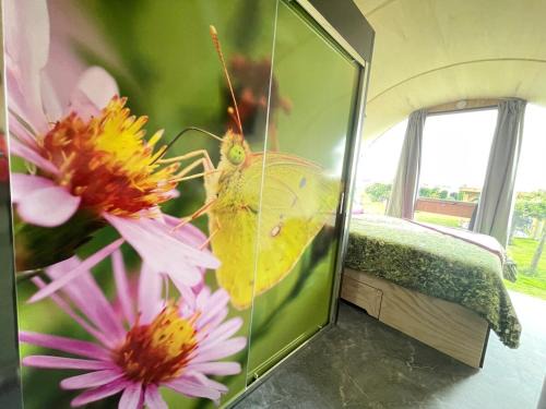 Eco-lodge, slow living by nature