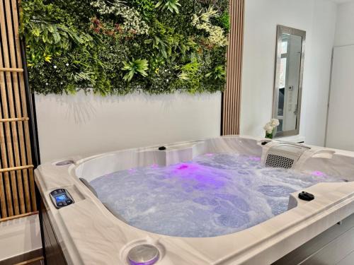 Eden Love Spot - jacuzzi privatif proche Paris