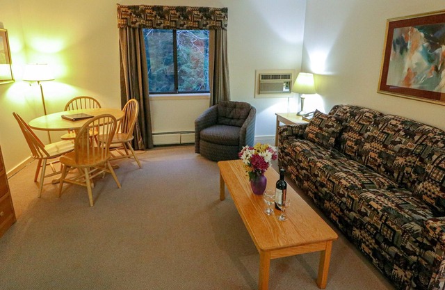 Efficiency with Sleeper Sofa only 120