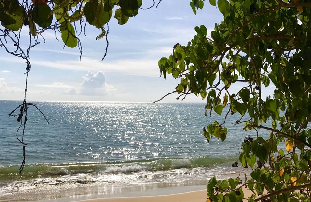 Elegant, quiet villa located in the west coast of Puerto Rico, Rincón.