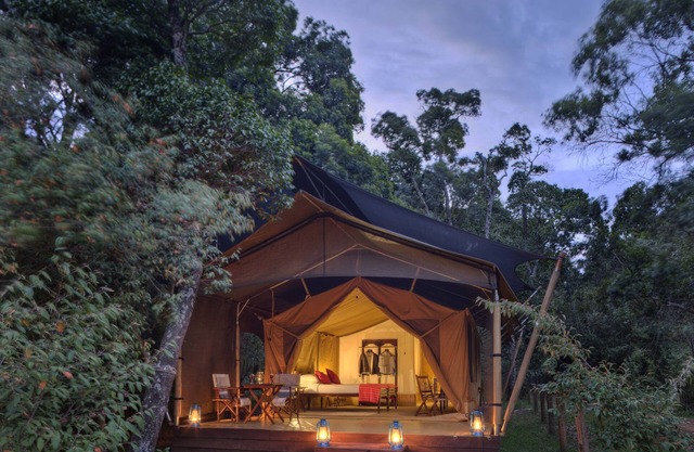 Elewana Elephant Pepper Camp