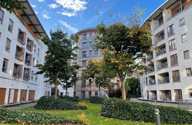 Entire Apartment in Heart of Dublin