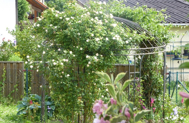 Enzkreisspitze garden apartment