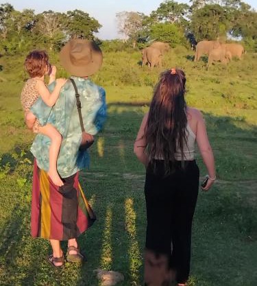 Ethili Lake view & Safari Camp