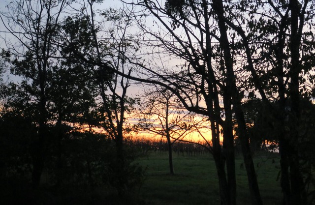 Etoile Lovely rural gite in beautiful, peaceful location. Discover the Gers