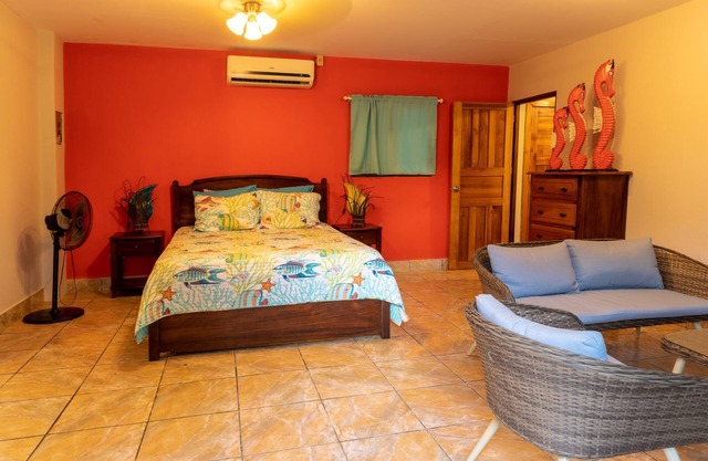 Exotic Iguana Apartmentos 1