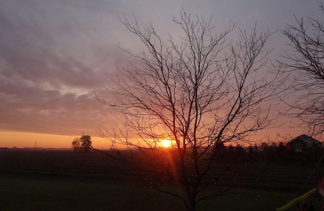 Fabulous Guesthouse B & B Located In The Heart Of Vineyard Country!