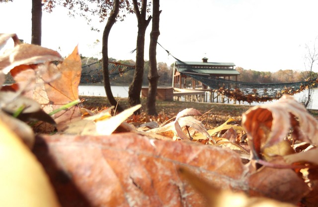 Fall Time! Lakefront Log Cabin, 3/2, Dock, Fire Pit, Fish, Swim, Views, Relax +