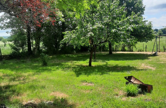 Family country house for rent, pets welcome.