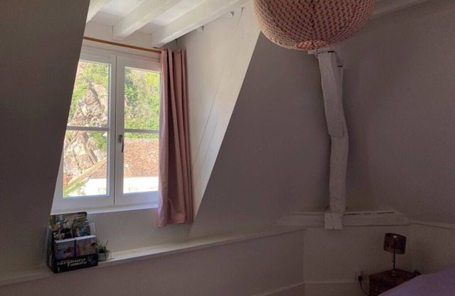 FAMILY HOME IN THE HISTORIC HEART OF SEMUR