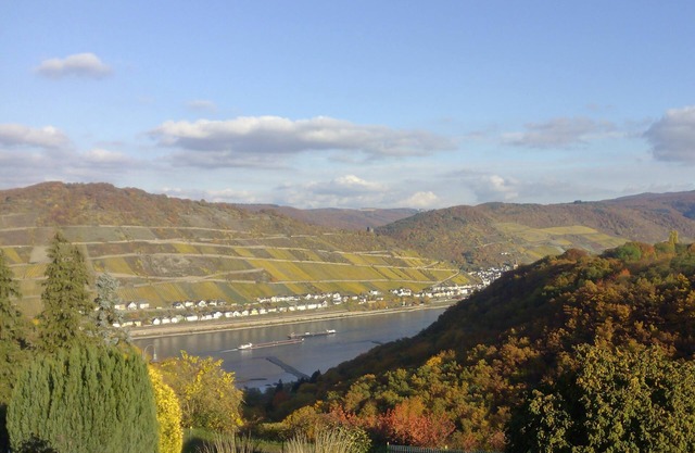 Fantastic view of the Rhine, high altitude of the Rhine above Bacharach, up to 6 people