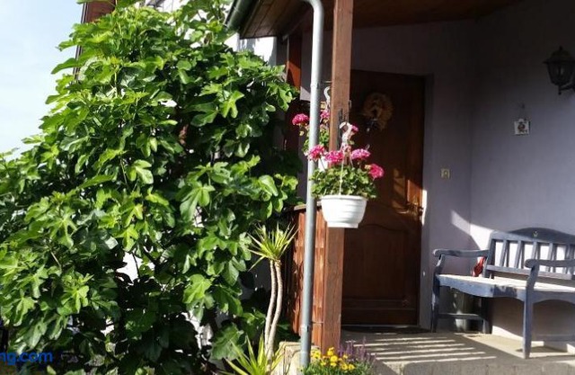 Ferien im Elsass