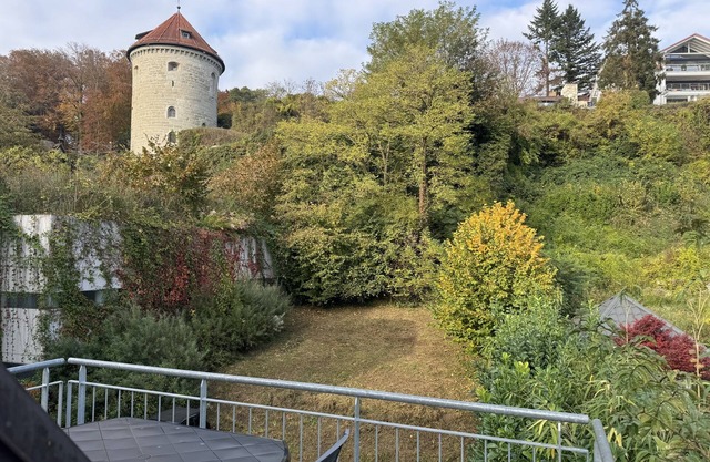 Ferienhaus Möhrle 6