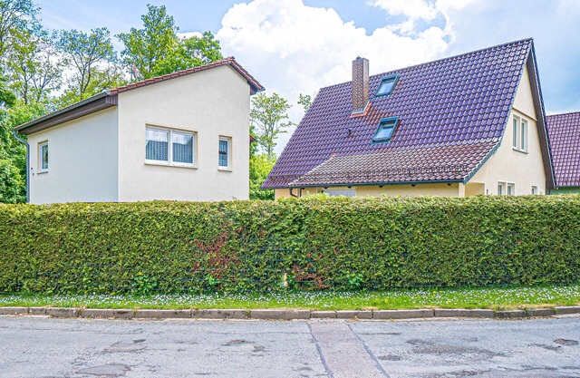 Ferienhaus Waldblick im Wanderparadies Harzgerode/ostharz