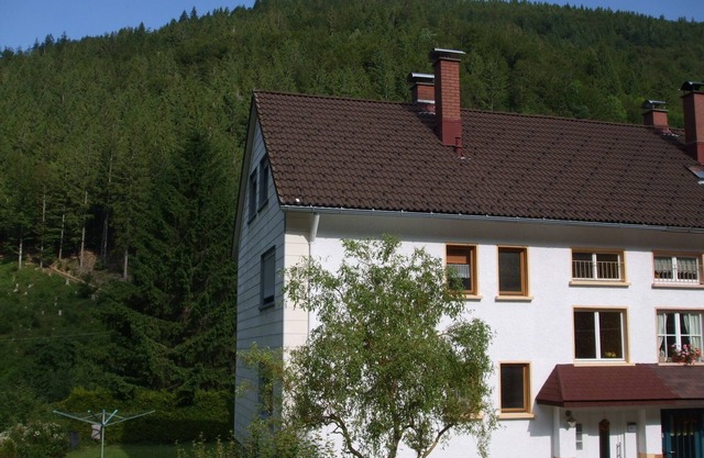 Ferienwohnung/app. für 5 Gäste mit 50m² in Todtnau