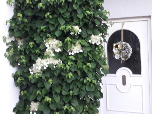 Ferienwohnung Gogelhopf EG