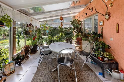 Ferienwohnung im Burgenland