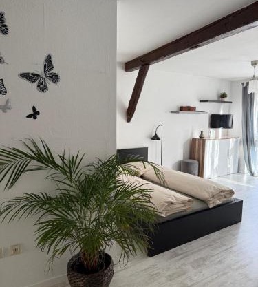 Ferienwohnung im Stadtkern Großbottwar