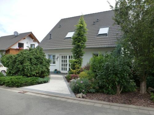 Ferienwohnung Salamander