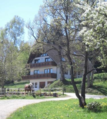 Ferienwohnung Ursprung