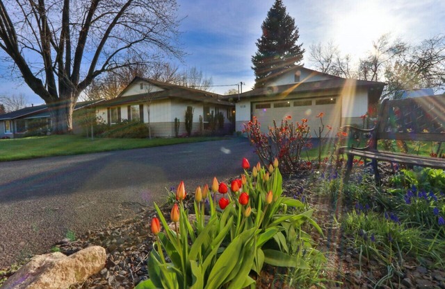 Fernhaven · Fernhaven welcomes you