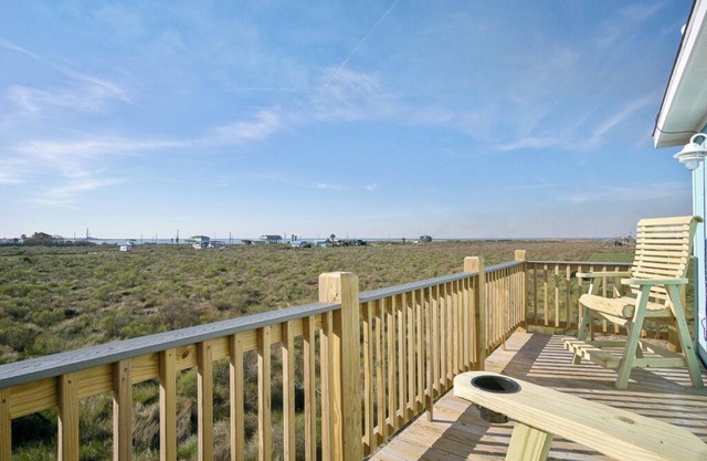 Fetching, cozy home. Sleeps 4! Pet & kid friendly!