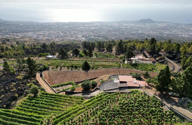 Finca Ecológica Ferrera. Alojamiento Rural.