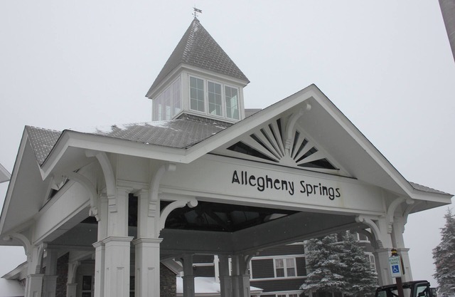 Allegheny Springs 